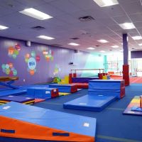 The Little Gym of Indian Trail ico