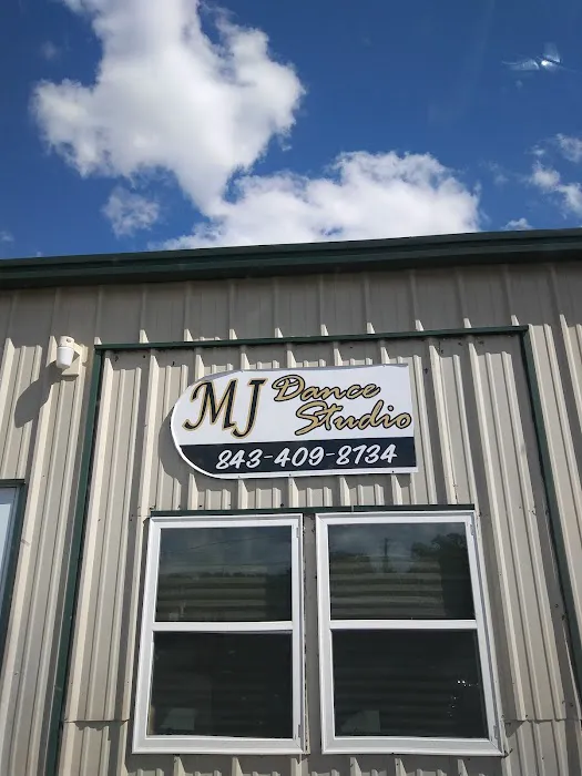 MJ Dance Company, LLC Picture 4