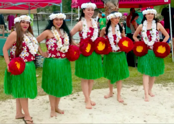 Aloha Island Hula Girls Picture 3