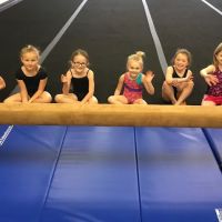 Shall We Dance: Summersville Gymnastics Center ico