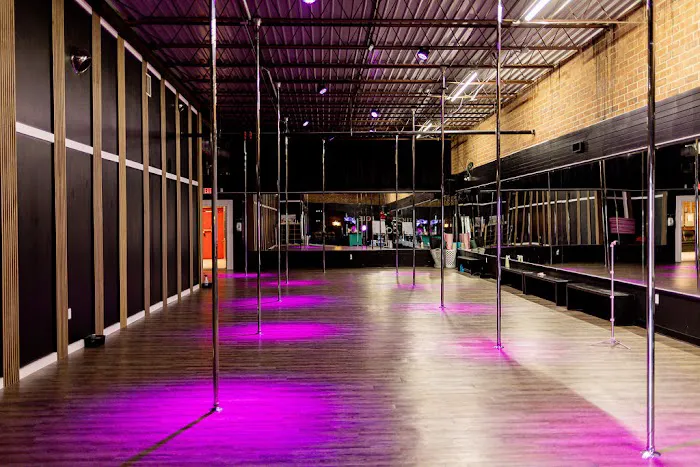 Collective Movement: Pole, Aerial & Dance Fitness Picture 3