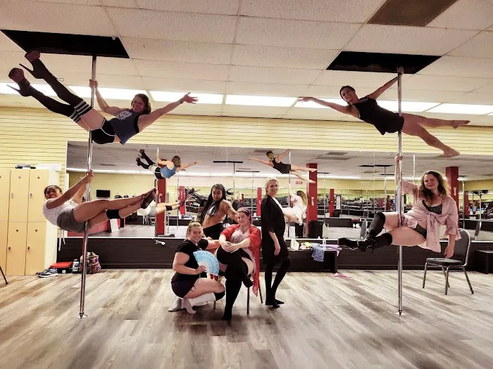 Collective Movement: Pole, Aerial & Dance Fitness Picture 1