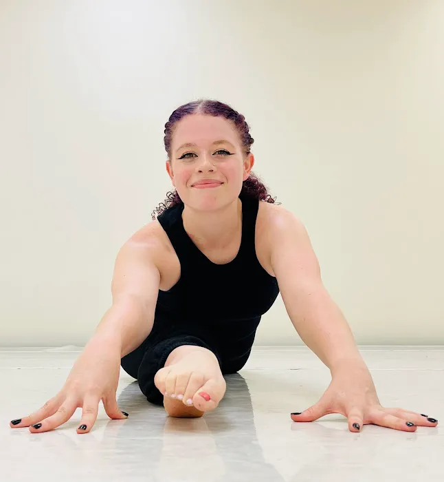 North Carolina Dance Institute Picture 3