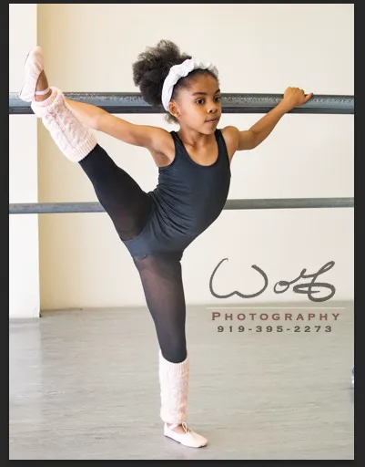 North Carolina Dance Institute Picture 2