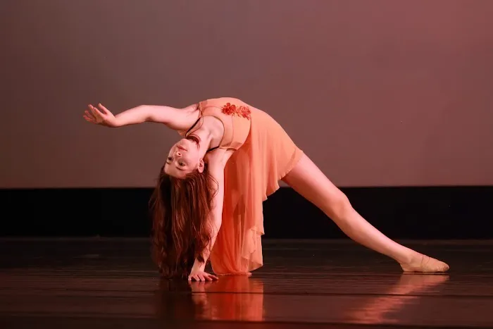 North Carolina Dance Institute Picture 1
