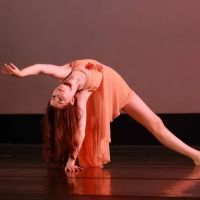 North Carolina Dance Institute ico