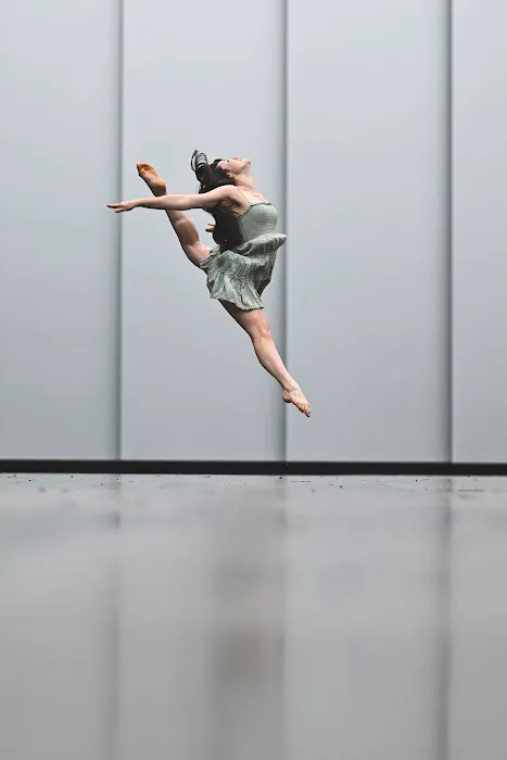 North Carolina Dance Institute Picture 7