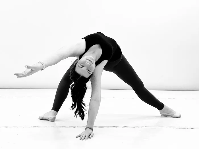North Carolina Dance Institute Picture 6