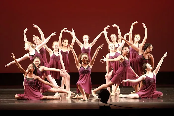 North Carolina Dance Institute Picture 8