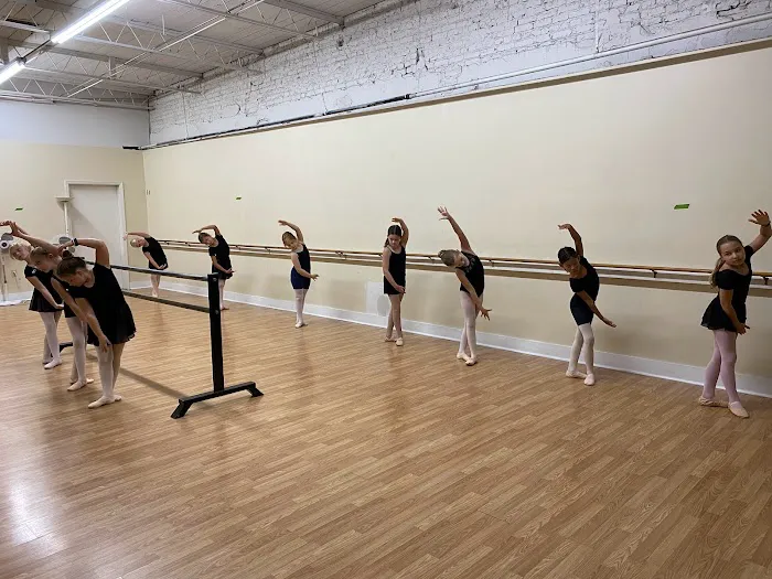 Alamance Fine Arts Academy Picture 6