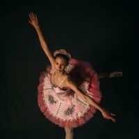 Walkerdance Ballet Theatre ico