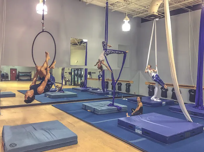 Upside Aerial Arts & Fitness Picture 4
