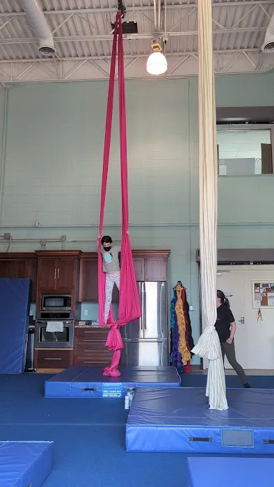 Upside Aerial Arts & Fitness Picture 5