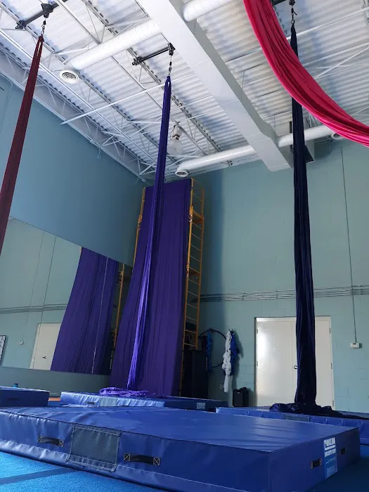 Upside Aerial Arts & Fitness Picture 8