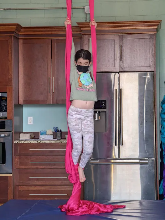 Upside Aerial Arts & Fitness Picture 9
