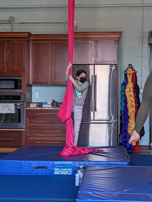 Upside Aerial Arts & Fitness Picture 10