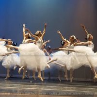 Southeast School of Dance ico