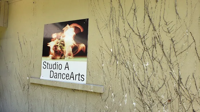 Studio A DanceArts Picture 5