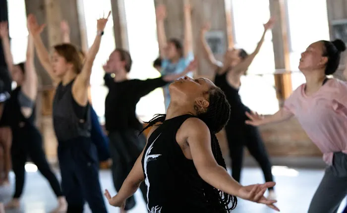 American Dance Festival - ADF Picture 8