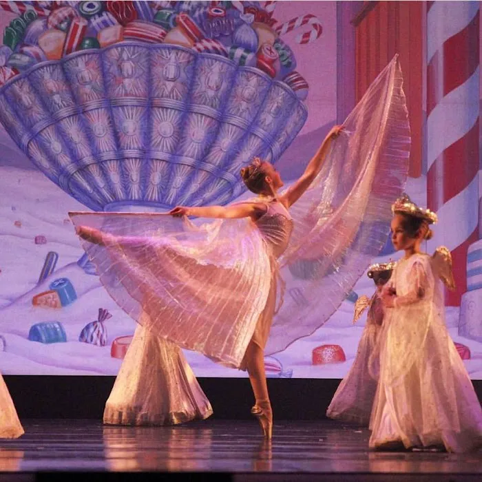 Barriskill Dance Theatre School Picture 6