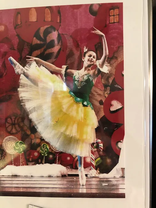 TAYLOR ACADEMY OF DANCE Picture 8