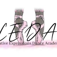 Creative Expressions Dance Academy ico