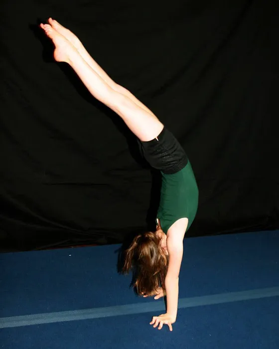 Carolina Dance and Gymnastics LLC (Siler City) Picture 9