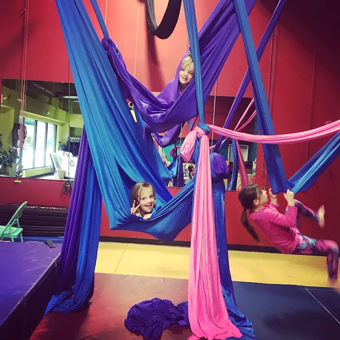 Cirque de Vol Aerial, Yoga, Fitness & Circus Community Picture 4