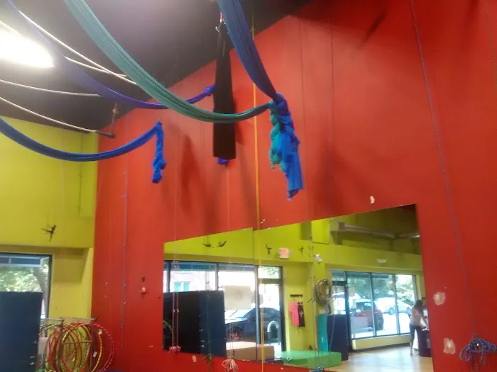Cirque de Vol Aerial, Yoga, Fitness & Circus Community Picture 2