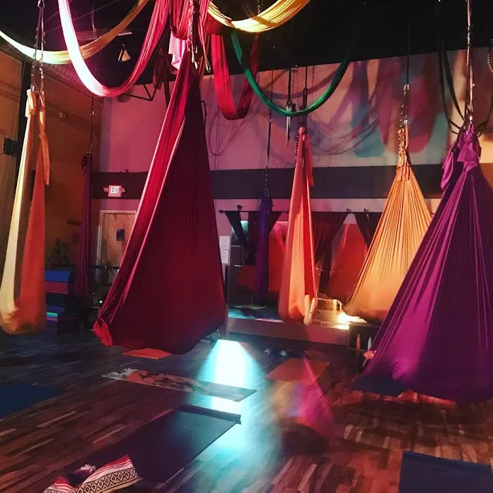 Cirque de Vol Aerial, Yoga, Fitness & Circus Community Picture 6