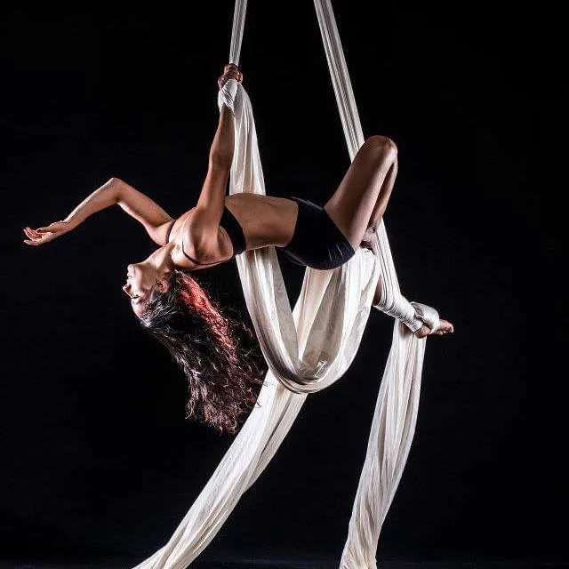 Cirque de Vol Aerial, Yoga, Fitness & Circus Community Picture 1