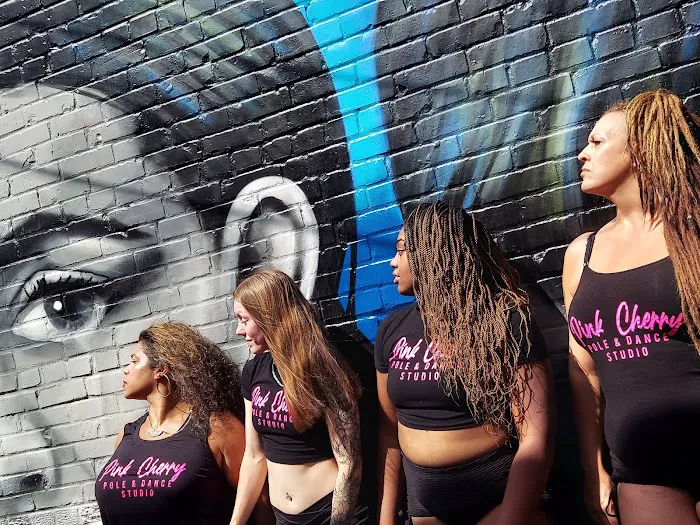 Pink Cherry Pole & Dance Studio Picture 9
