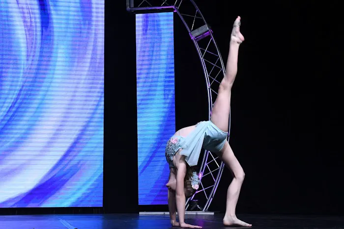 Premier School of Dance Picture 7