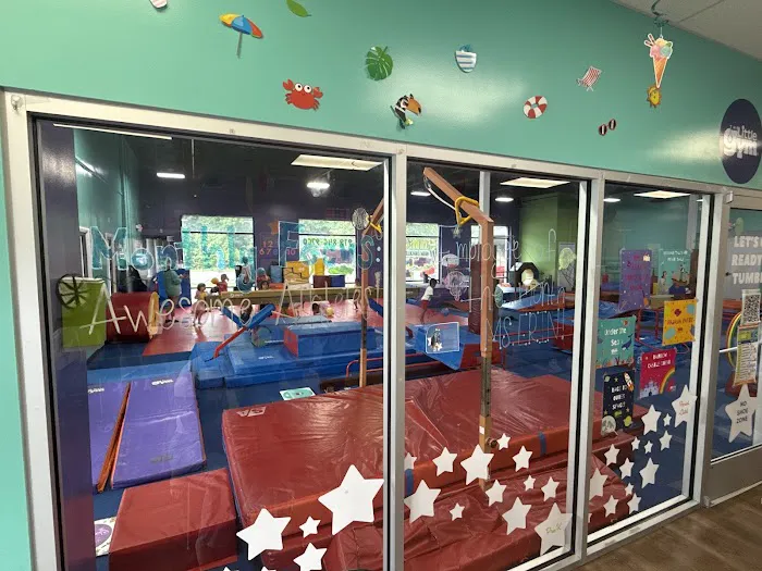 The Little Gym of North Raleigh/Wake Forest Picture 10