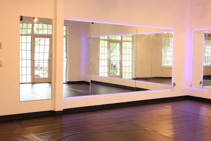 Nikita's Bollywood DANCE Academy Picture 6