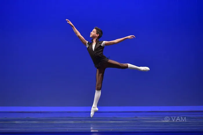International Ballet Academy Picture 7