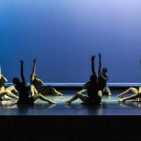 Destiny Dance Institute ico