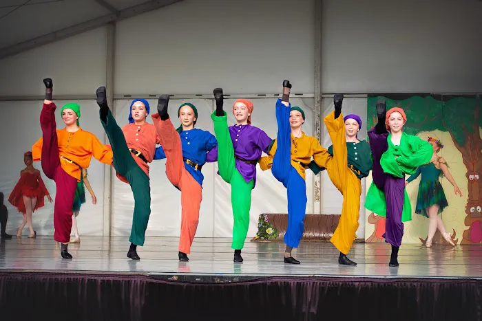 Destiny Dance Institute Picture 7