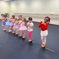 The Dance Attic ico