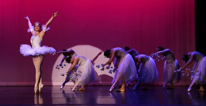 Field of Dreams Performing Arts Picture 3