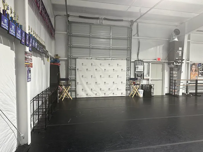 Premier School of Dance Picture 5
