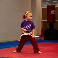 Apologia Dance & Martial Arts ico