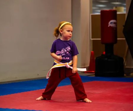 Apologia Dance & Martial Arts