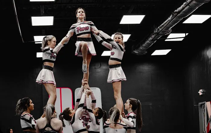 Fierce Allstars Picture 2