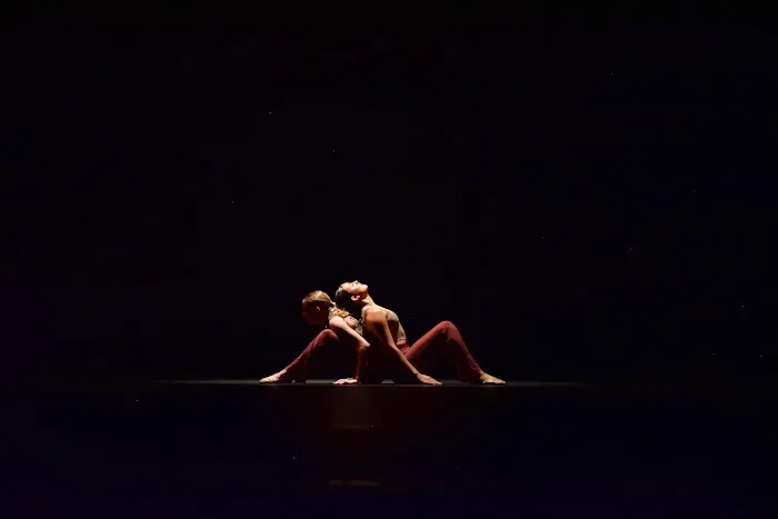Bold Moves Dance Company Picture 2