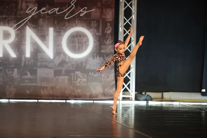 Elite Academy of Dance Picture 3