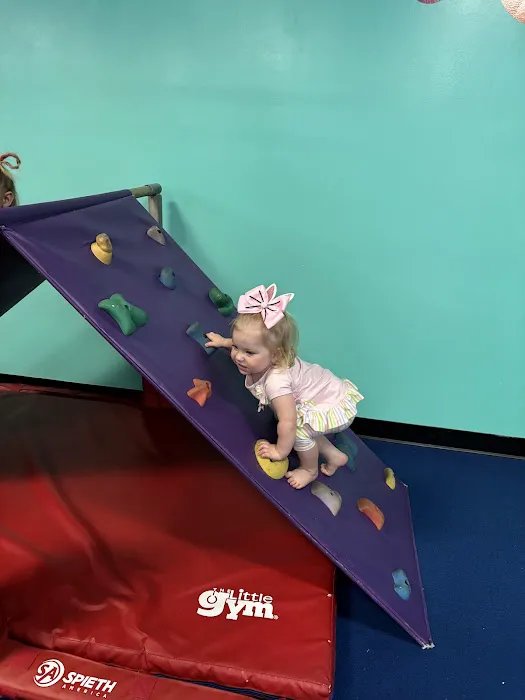 The Little Gym of Fayetteville Picture 5