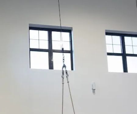 Pura Vida Studio