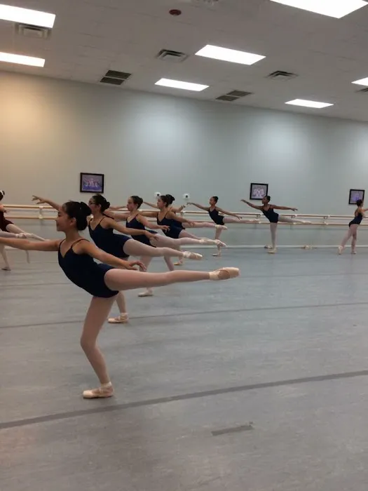 Triangle Academy of Dance Picture 5