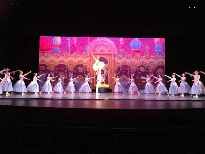 Triangle Academy of Dance Picture 6